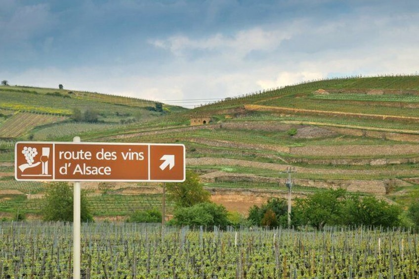 Local Craftsman Guide Vineyard Tour and 6 Orschwihr Wines 2