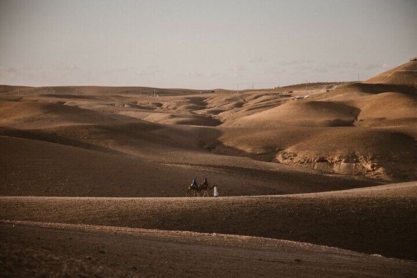 Marrakech: Agafay Desert Dinner Show with Sunset Camel Ride 4