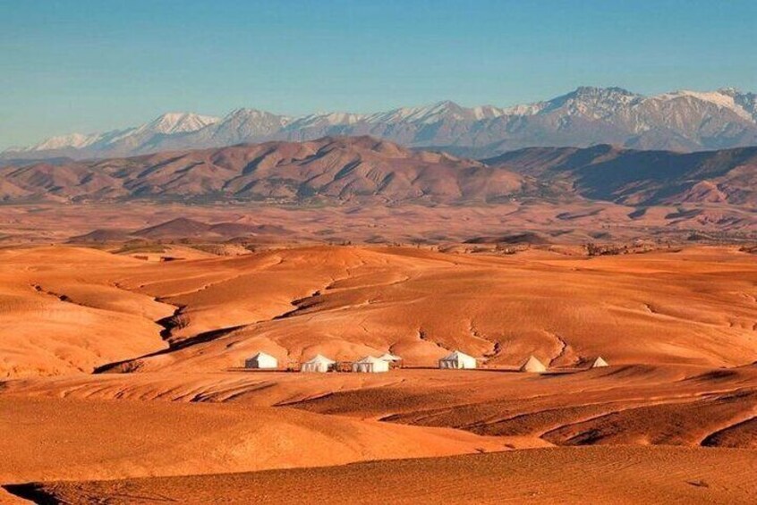 Marrakech: Agafay Desert Dinner Show with Sunset Camel Ride 5