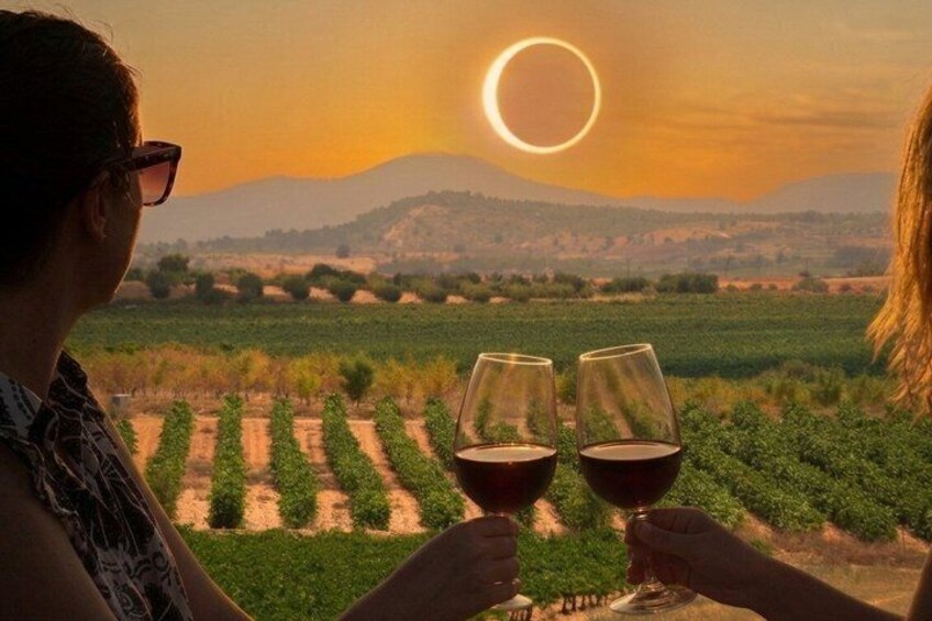 From Valencia Total Solar Eclipse and Wine Tasting in Requena 1