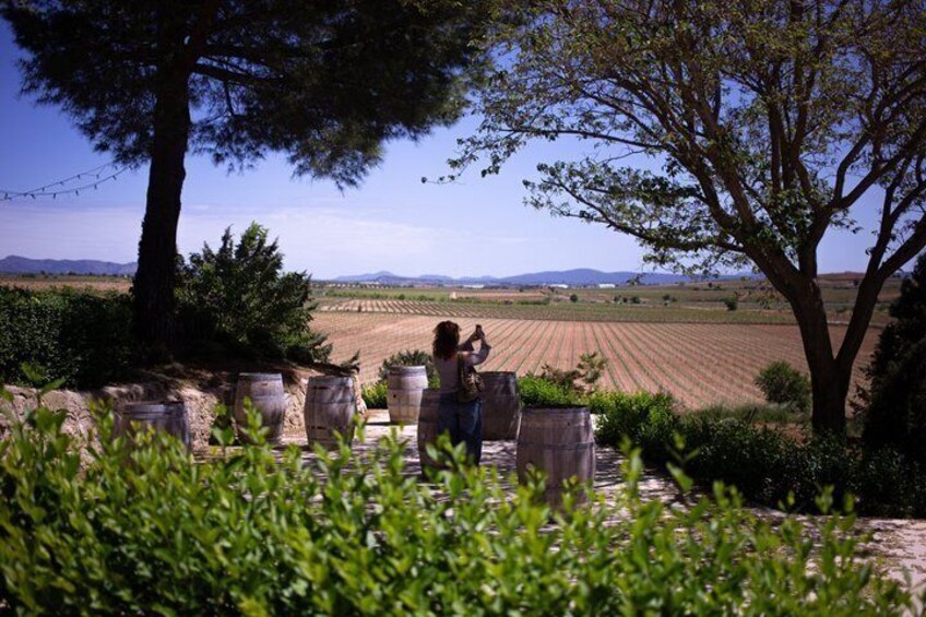 From Valencia Total Solar Eclipse and Wine Tasting in Requena 4