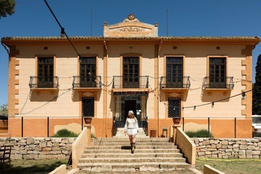 From Valencia Total Solar Eclipse and Wine Tasting in Requena 3