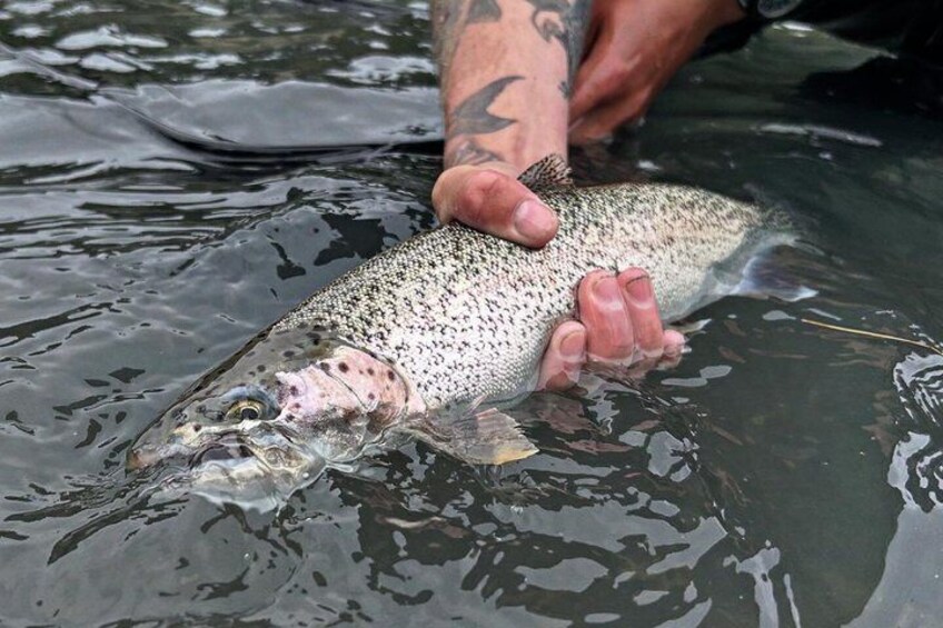 Full Day Guided Fishing Trip on Kenai River 2