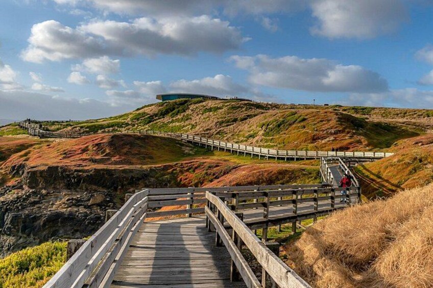 The Nobbies - Phillip Island 2
