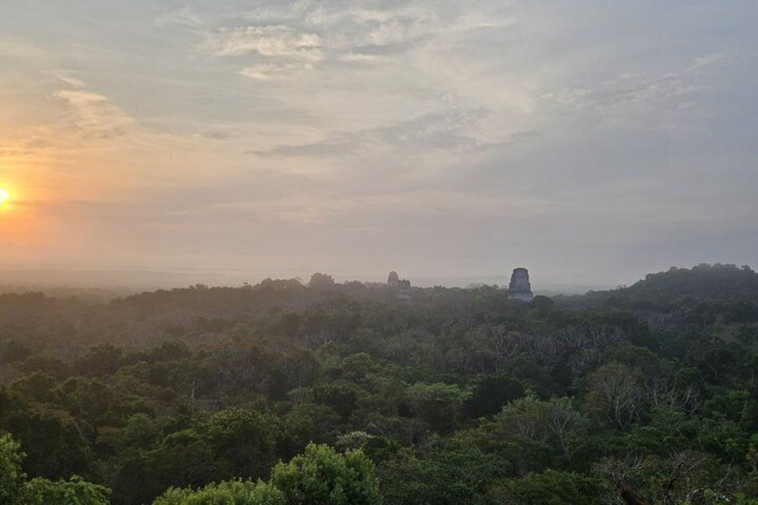 Tikal at Sunset Mayan History and Nature from Flowers 3