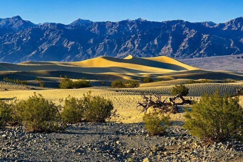 Death Valley Bus Tour Experience 3