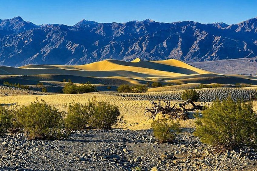 A desert landscape with sand dunes, sparse vegetation, and mountains in the background. 3