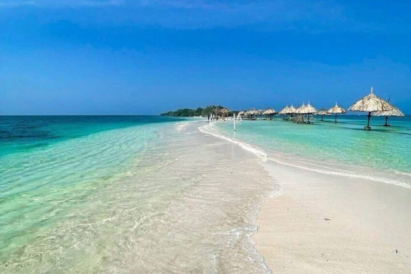 Palma Island 1
