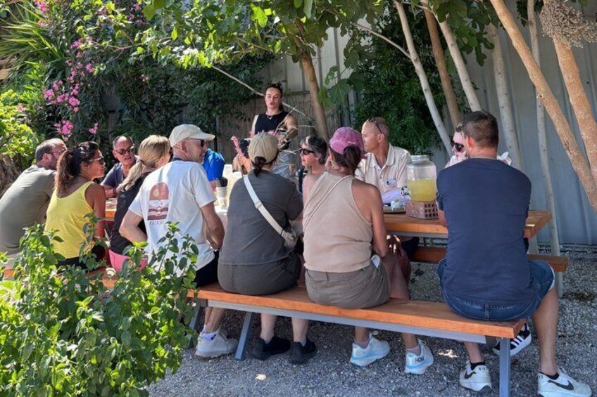 Olive Oil Tour and Tasting at Lilanto Estate 4