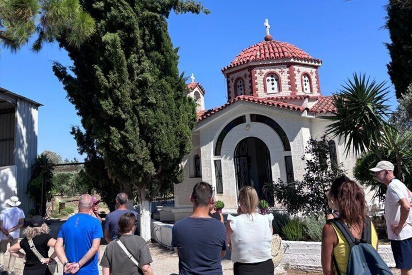 Olive Oil Tour and Tasting at Lilanto Estate 5