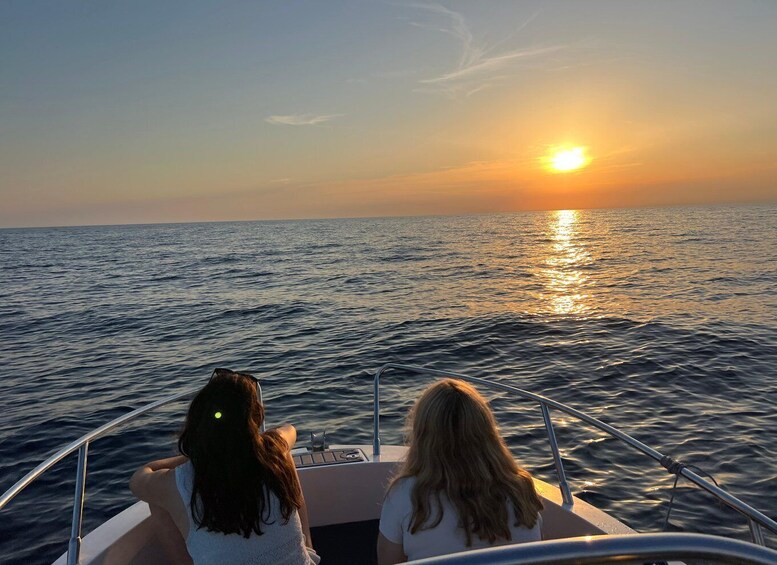 Picture 33 for Activity Rovinj: Sunset Dolphin Watching Boat Tour with Drinks 3