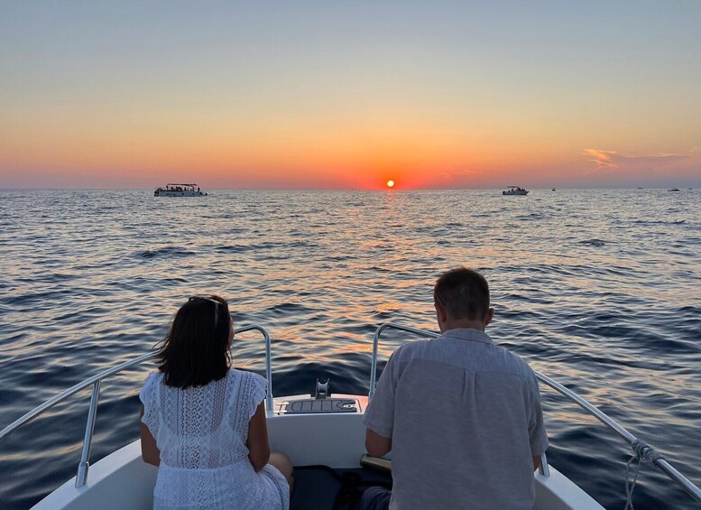 Picture 34 for Activity Rovinj: Sunset Dolphin Watching Boat Tour with Drinks 4