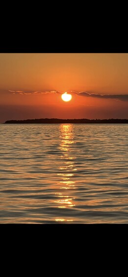 Rovinj: Private Sunset Dolphin Watching Boat Tour 1