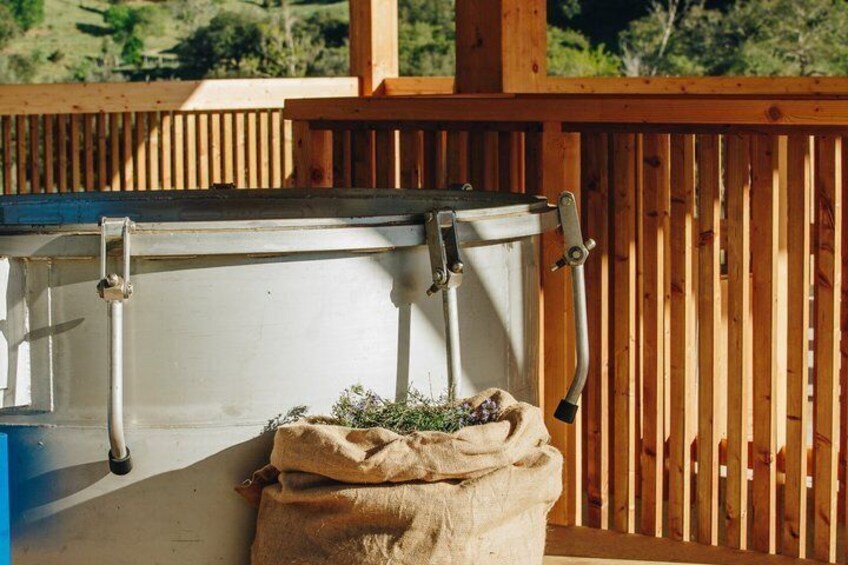 Visit to a distillery of Corsican Essential Oils 3