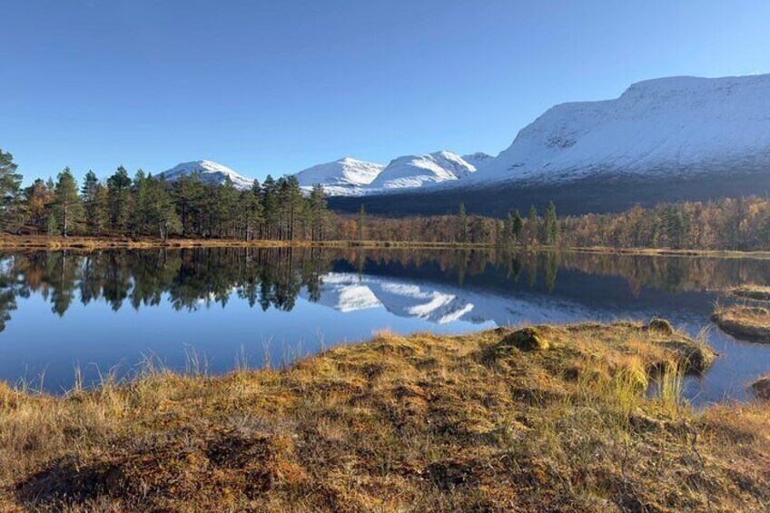 Autumn self drive Husky Tour 2hrs from Tromso 2