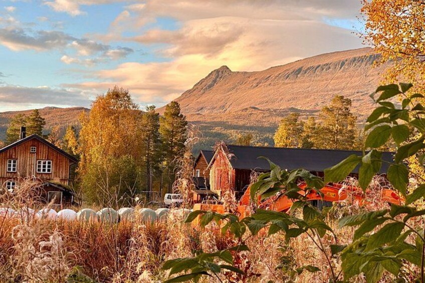 A rural landscape with a wooden house, barns, and mountains in the background. 3