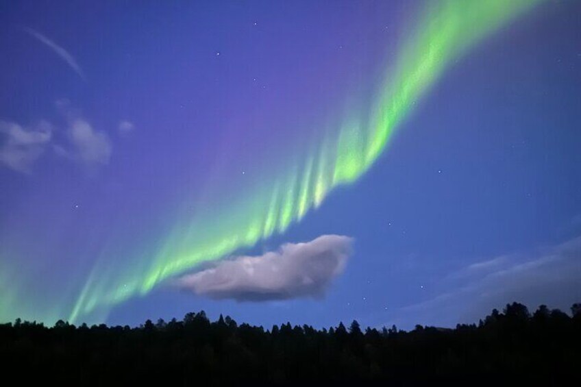 Autumn self drive Husky Tour 2hrs from Tromso 4
