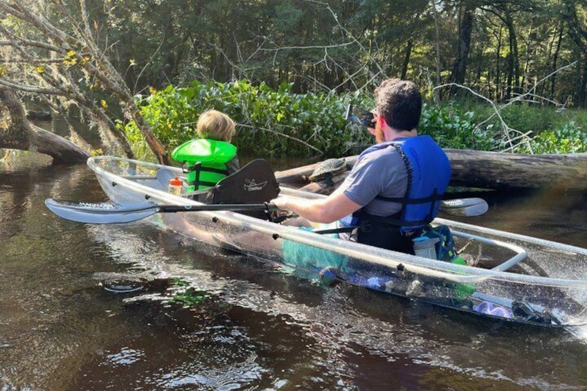 Ginnie Springs Glass Bottom Kayak Eco Tour 4