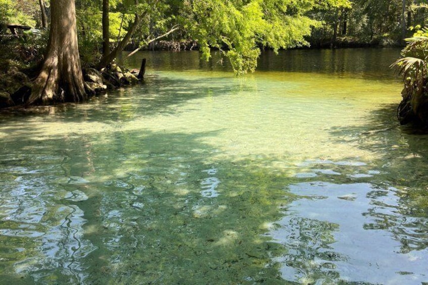 Ginnie Springs Glass Bottom Kayak Eco Tour 3
