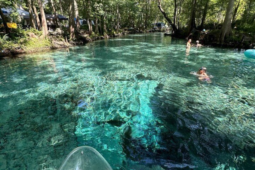 Ginnie Springs Glass Bottom Kayak Eco Tour 5