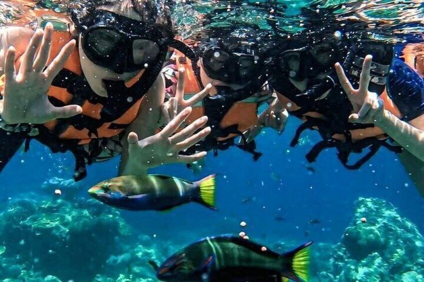 Catalina Island Escape with Snorkeling and Catamaran Adventure 5