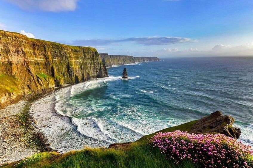A coastal landscape with cliffs, waves, and a rocky outcrop with pink flowers. 1