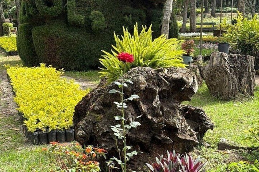 Animal and Orchid Conservation in Loja 5