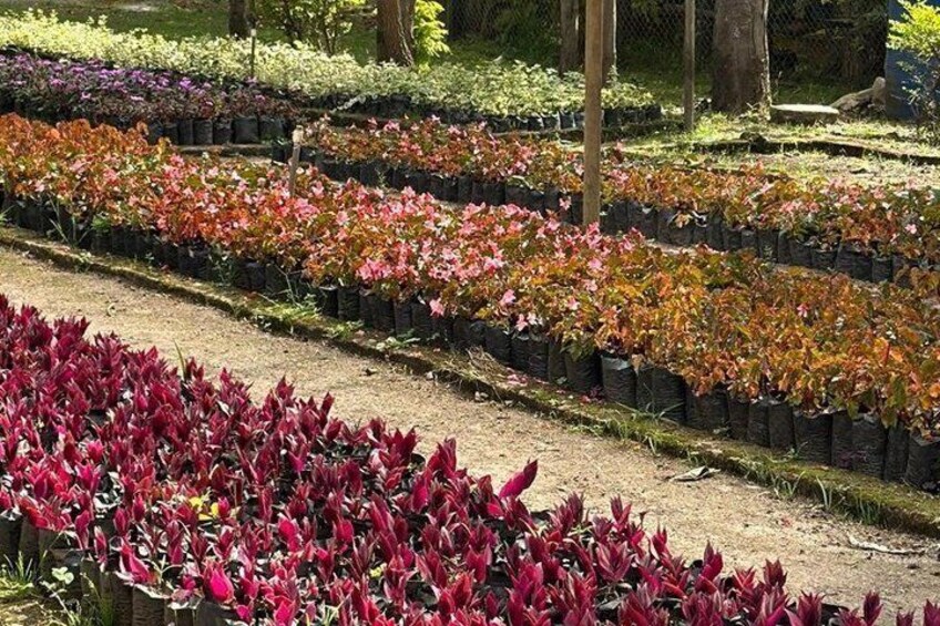 Animal and Orchid Conservation in Loja 4