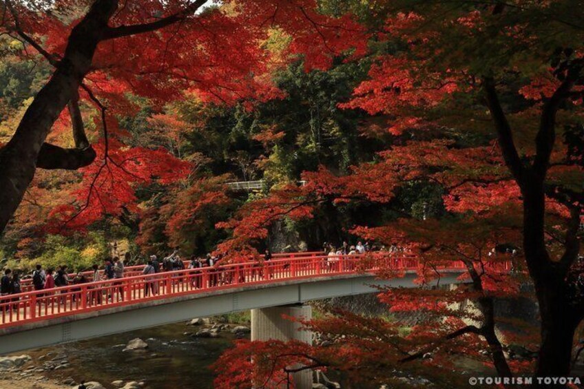 A red bridge over a stream with red foliage in the background. 1