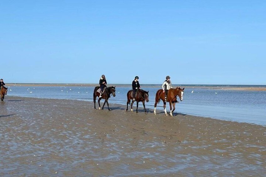 Three riders on horses along a beach with calm water and a clear sky. 3