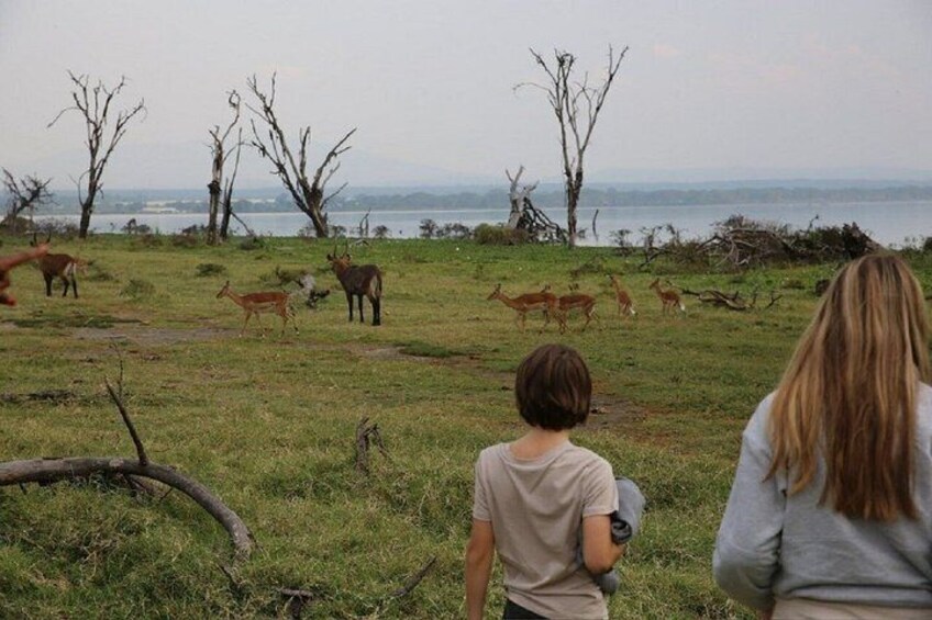 Hells Gate, Lake Naivasha and Crescent Island Tour from Nairobi 4