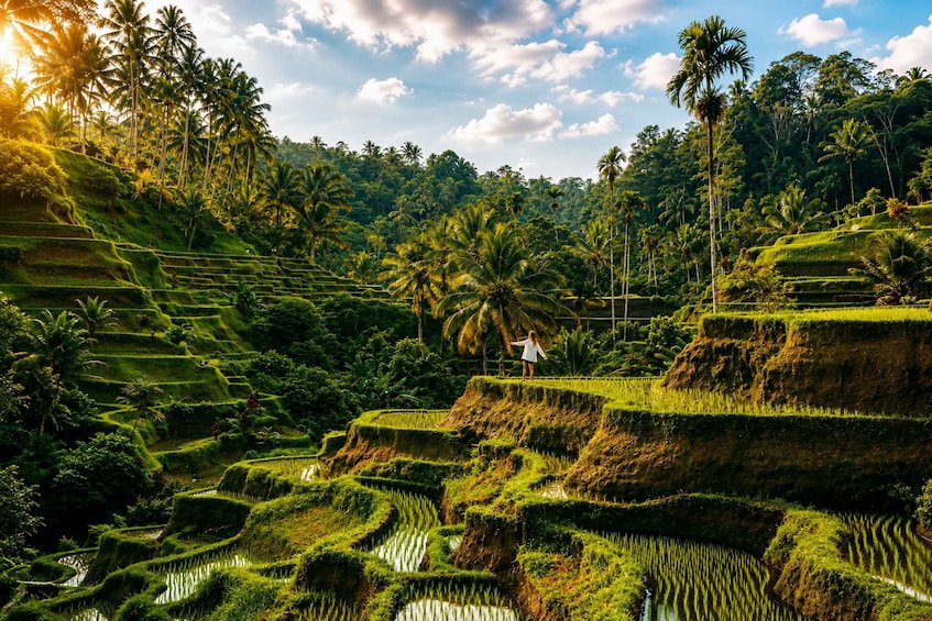 Terraced rice fields, palm trees, and a person standing on a terrace. 5