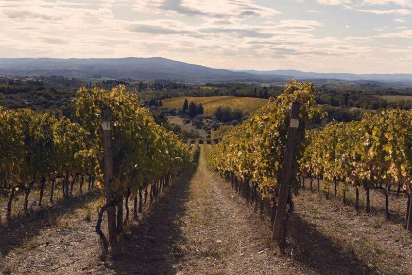8 Stops in Chianti Fiorentino by Vespa 3