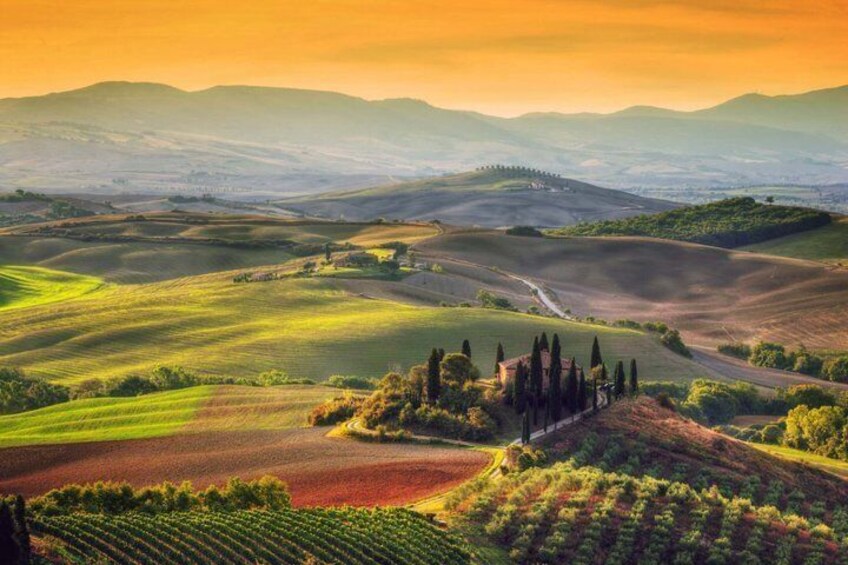 8 Stops in Chianti Fiorentino by Vespa 2