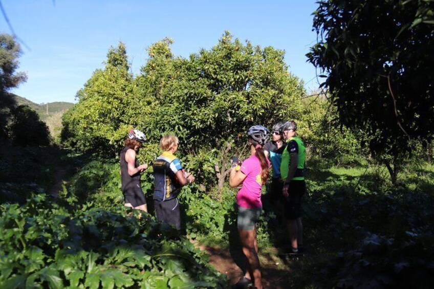 Tavira E mountain bike gourmet tour waterfall and coast 2