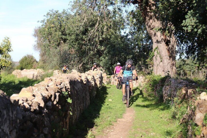 Tavira E mountain bike gourmet tour waterfall and coast 1