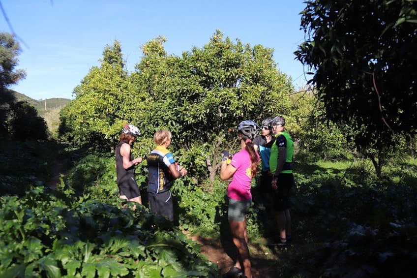 A group of people on a trail surrounded by greenery. 2