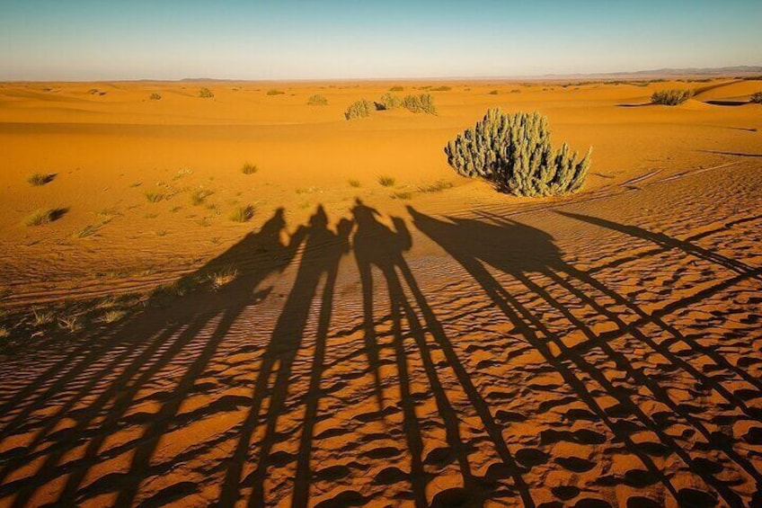 A desert landscape with sand dunes and shadows of people. 1