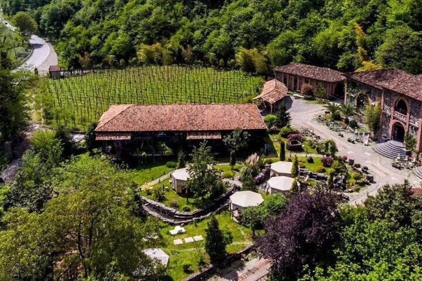 A vineyard with buildings, a winding road, and a lush green landscape. 3
