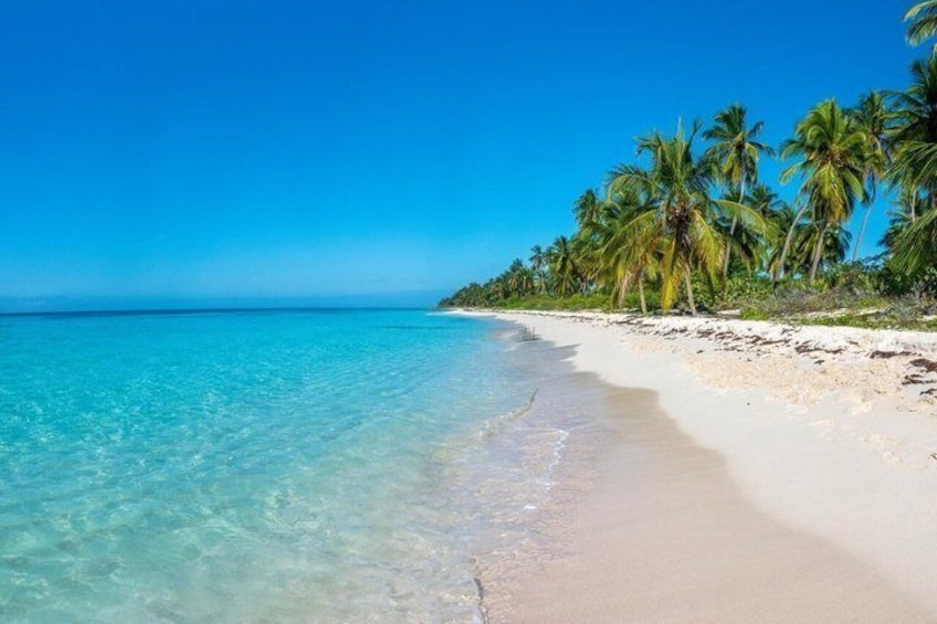 Premium Saône Island : Dominican Culture and Caribbean Flavors 2