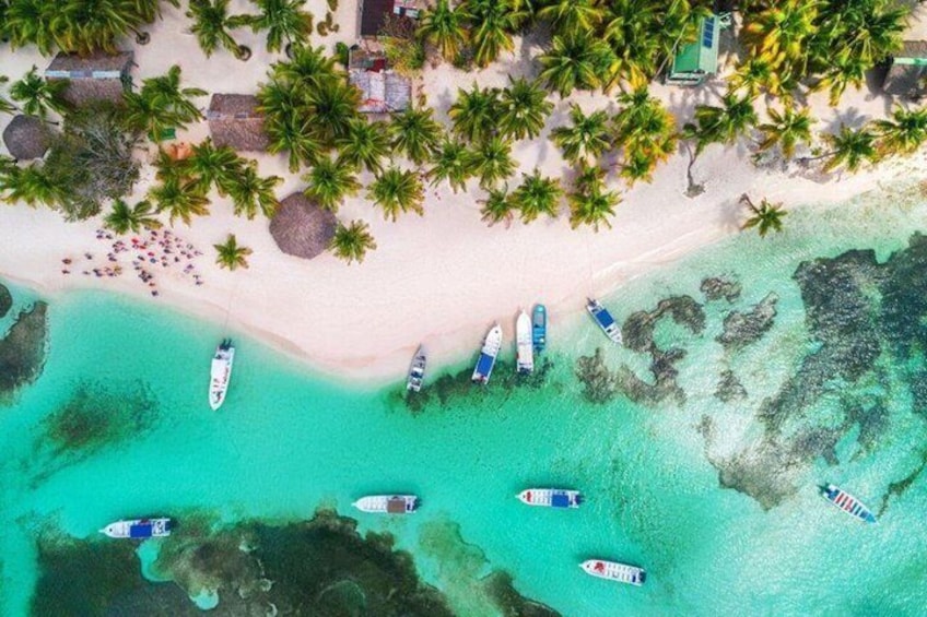 Premium Saône Island : Dominican Culture and Caribbean Flavors 5
