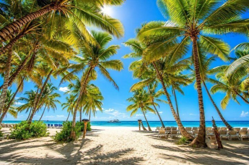 Saona Island All Inclusive Tour and Snorkeling 5