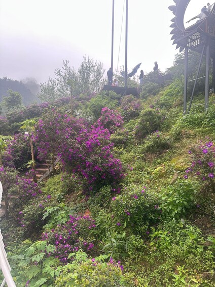 Picture 18 for Activity Tam Dao Tour Full Day Private Car ( Mist Mountain ) 5