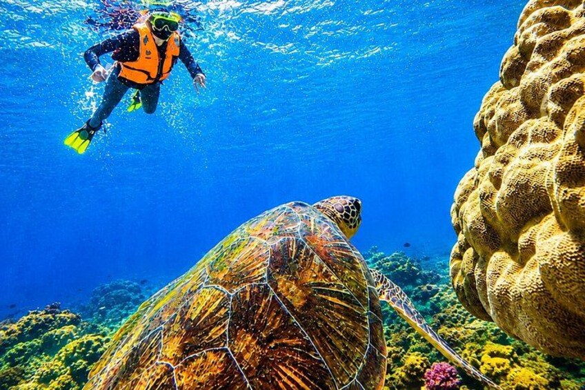 Private Ishigaki Beach Snorkeling and Island Sightseeing Tour 1
