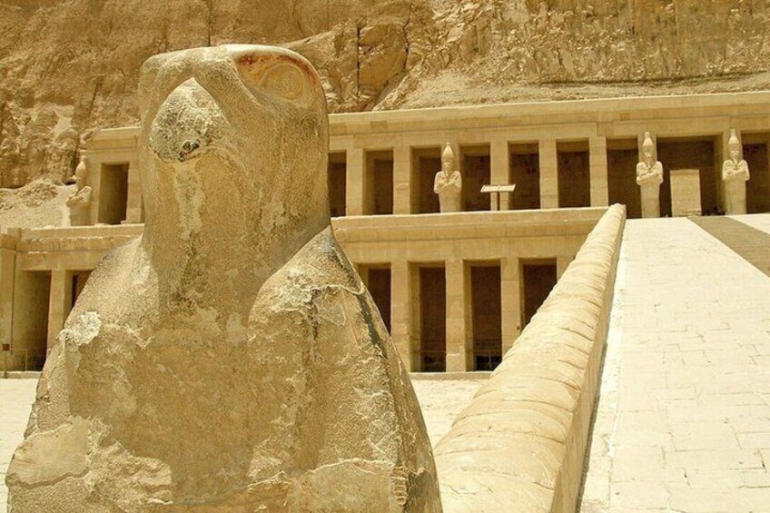 Full Day Luxor from Port Ghalib 1