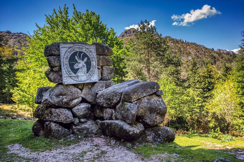 Picture 6 for Activity Peneda-Gerês National Park Guided Tour 5