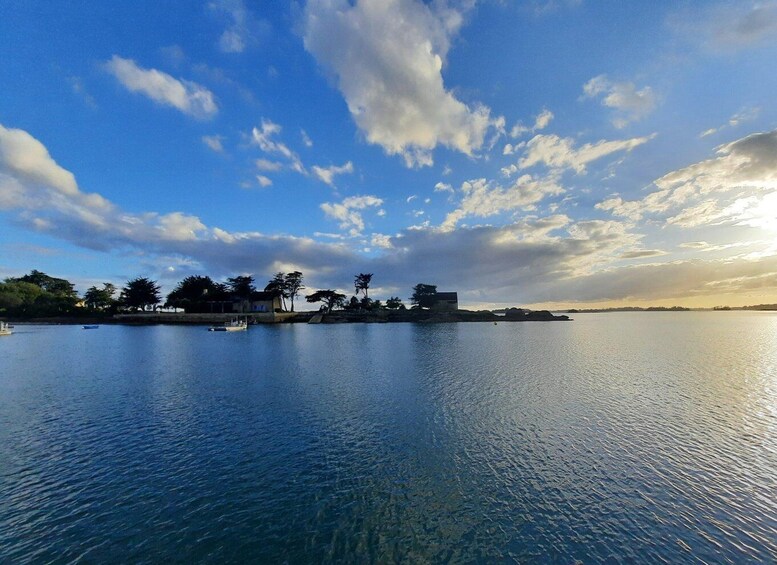 Picture 3 for Activity Vannes: Gourmet Cruise Tour 3