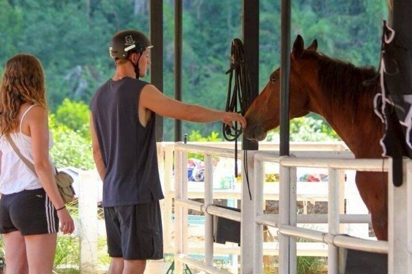 Krabi Horse Ride Khao Thong and Beach Excursion 5
