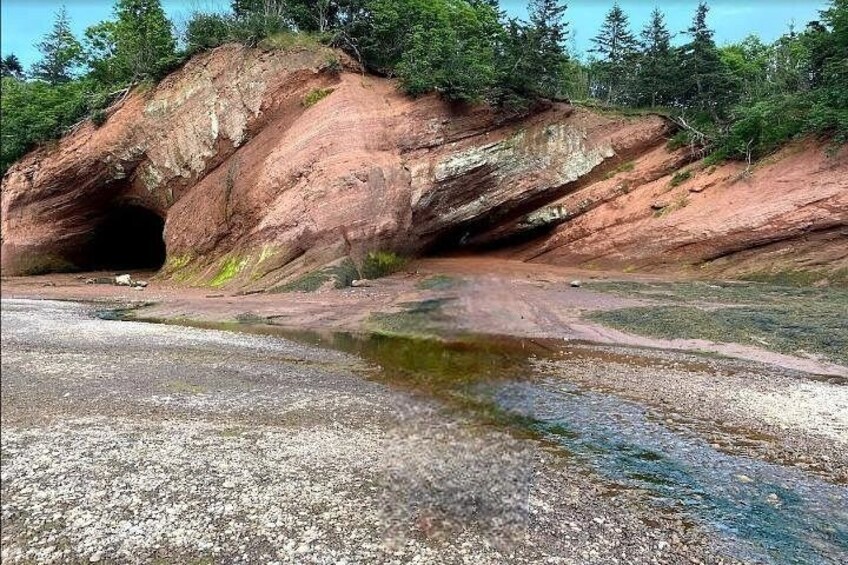 Un paisaje rocoso con la entrada de una cueva, un pequeño cuerpo de agua y vegetación circundante. 1