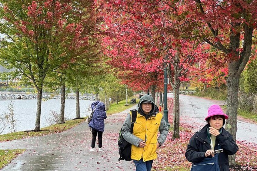 Un sendero bordeado de árboles con hojas rojas, una masa de agua y personas caminando. 4